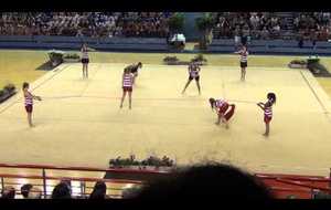 Rocky - DC1 Juniors/Seniors