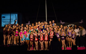 Compétition Départementale (94) DF-DC-DIR 2015