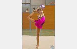 Compétition Régionale (IDF Marne) Indiv 2015