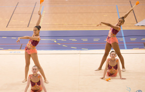 Compétition de Zone (IDF) Interrégional D et E 2016