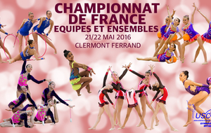 Championnat de France National 2016